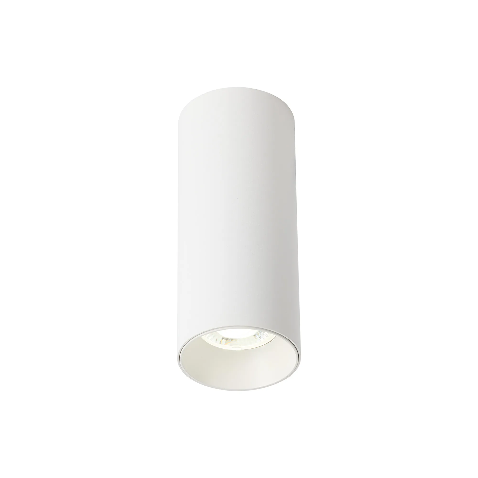 EOS S 10 Indoor Surface Mounted Luminaires Dlux Unidirectional Surface Mount